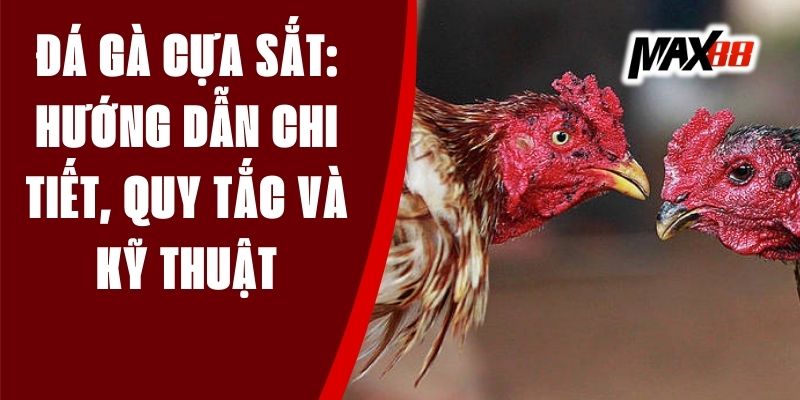 đá gà cựa sắt